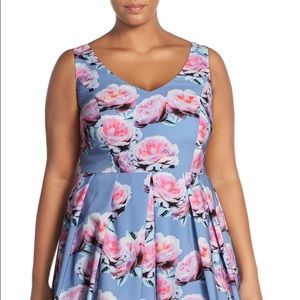 Powder Posey Dress - City Chic